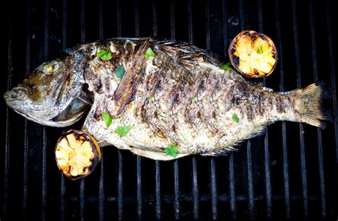 how to cook fish on the grill|The complete guide to grilling fish on a gas grill: seasoning .
